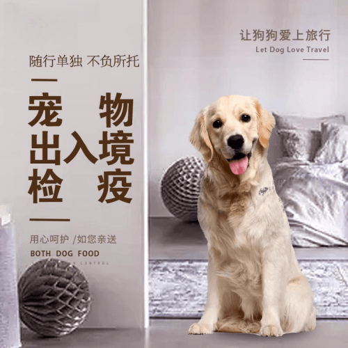 安阳市宠物托运到哥伦比亚猫狗宠物入境规定和