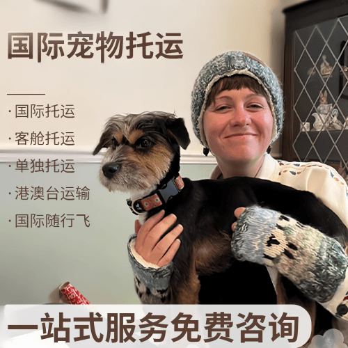 安阳市国际宠物托运到阿根廷宠物入境规定和要