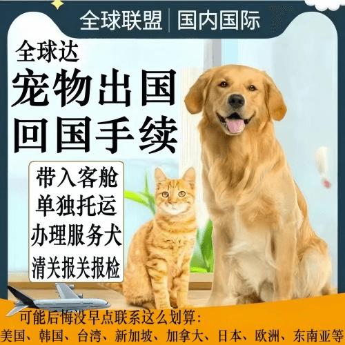 安阳市宠物托运到柬埔寨宠物入境规定和要求