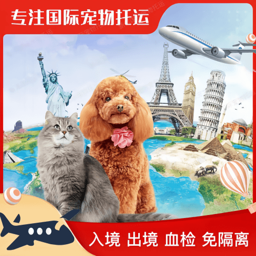 安阳市宠物托运到美国宠物入境最新规定和要求