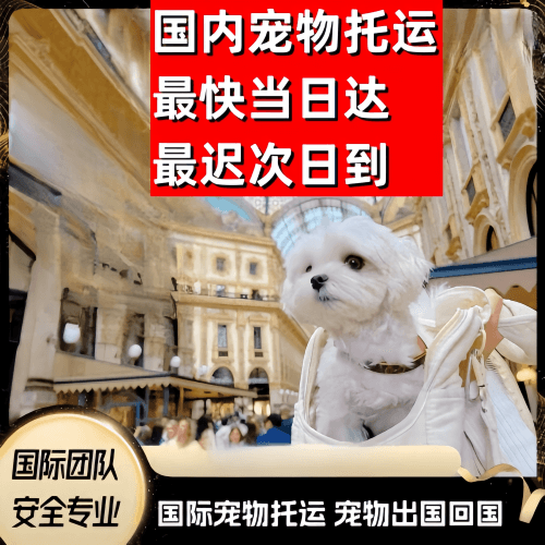 安阳市到澳大利亚（澳洲）宠物入境规定和要求