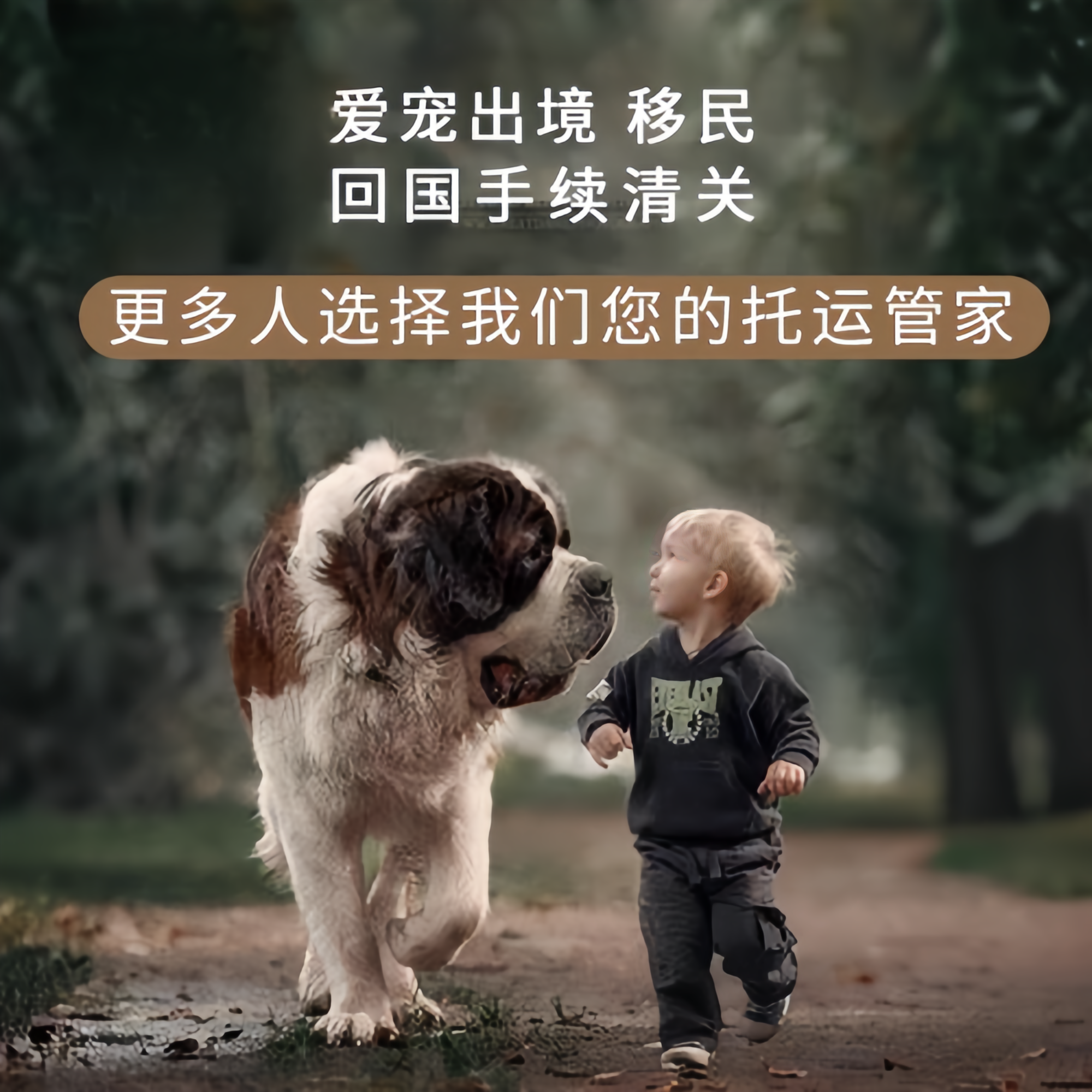 满财安阳市宠物全球达宠物托运在遵守入境目的地政策的条件